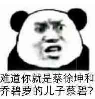 难道你就是蔡徐坤和乔碧萝的儿子蔡碧？