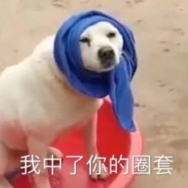 我中了你的套