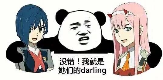 没错！我就是她们的 darling