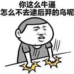 你这么牛逼，怎么不去逮后羿的鸟呢