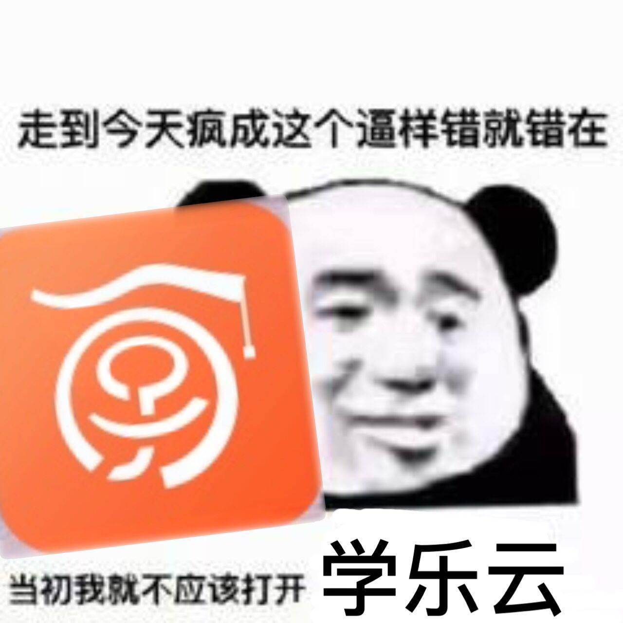 走到今天疯成这个逼样，错就错在，当初我就不应该打开学乐云