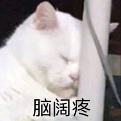 脑阔疼