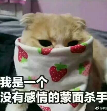 我是一个没有感情的蒙面杀手@爽
