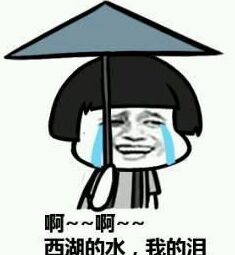 西湖的水，我的泪