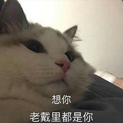 想你老戴里都是你