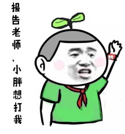报告老师，小胖想打我