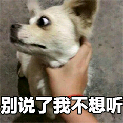 别说了我不想听