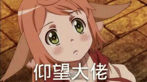 仰望大佬国