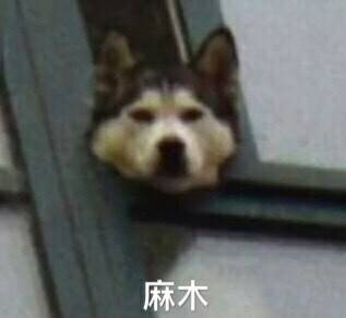 麻木