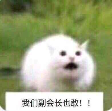 我们副会长也敢！！