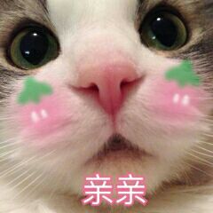 亲亲