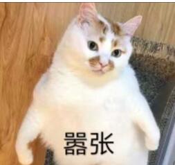 器张