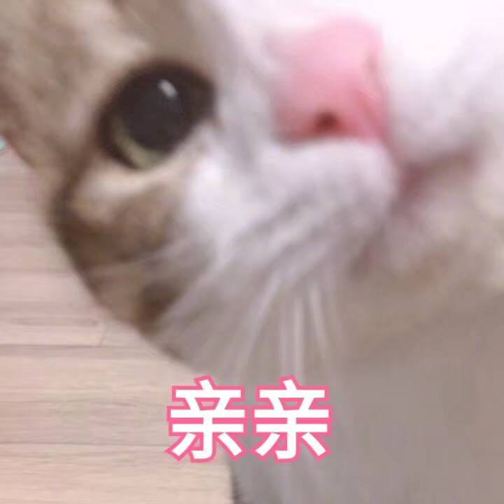 亲亲