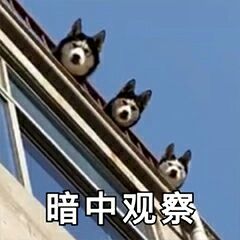 暗中观察
