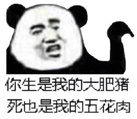 你生是我的大肥猪死也是我的五花肉