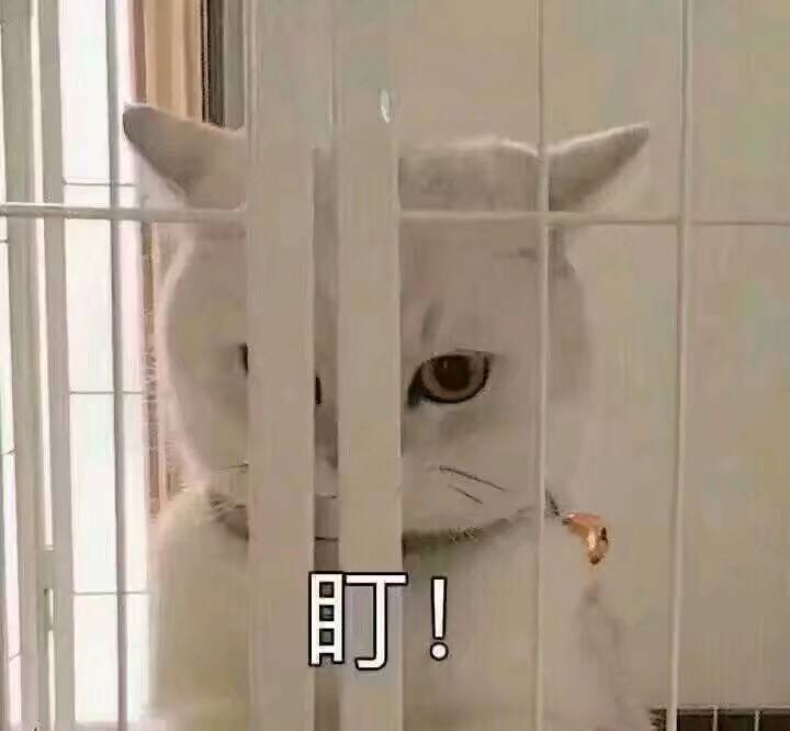 口口
