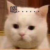 嗯