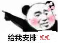 给我安排姐姐