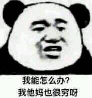 我能怎么办呢