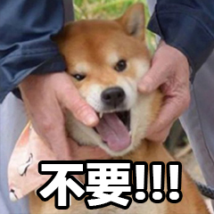 不要期