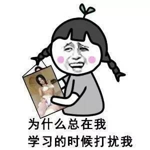 为什么总在我学习的时候打扰我