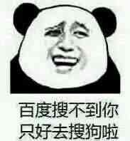 百度搜不到你只好去搜狗啦