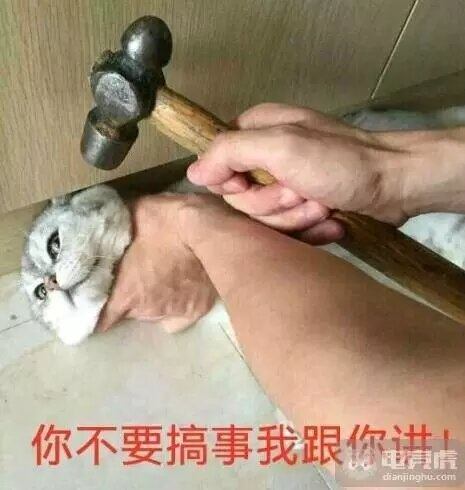 你不要搞事我跟你讲