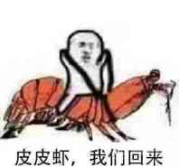 皮皮虾我们回来