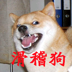 滑稽狗