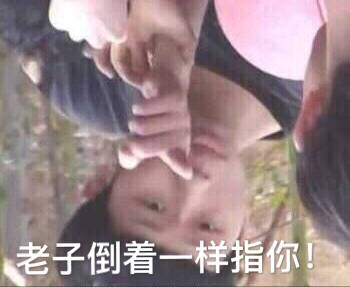 老子倒着一样指你