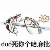 du6死你个哈麻批