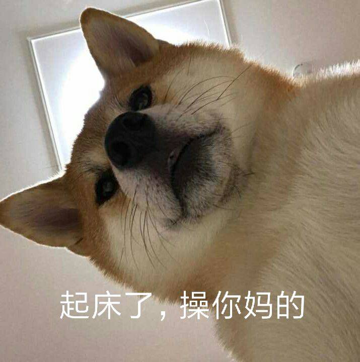 起床了，操你妈的