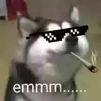 emmm