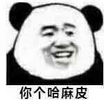你个哈麻皮