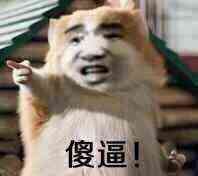 傻逼