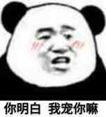 你明白我宠你嘛