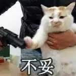 不妥