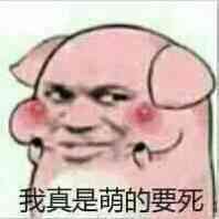 我真是萌的要死