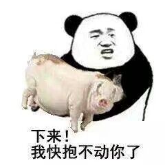 下来！我快抱不动你了