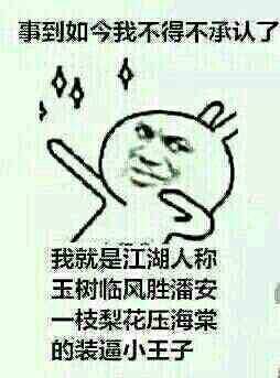事到如今我不得不承认了