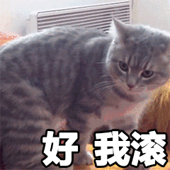好我滚