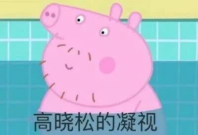高晓松的凝视