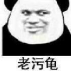 老污龟