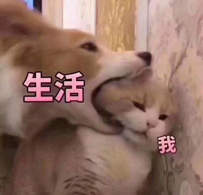 生活