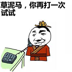 草泥马，你再打一次试试□