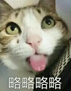 略略略