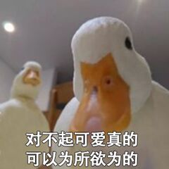 对不起可爱真的可以为所欲为的