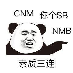 CNM你个SB NMB素质三连